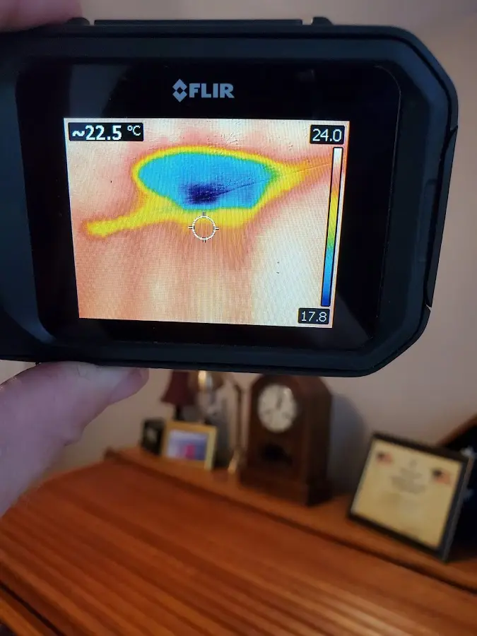 Thermal imaging inspection for water damage in Gardiner