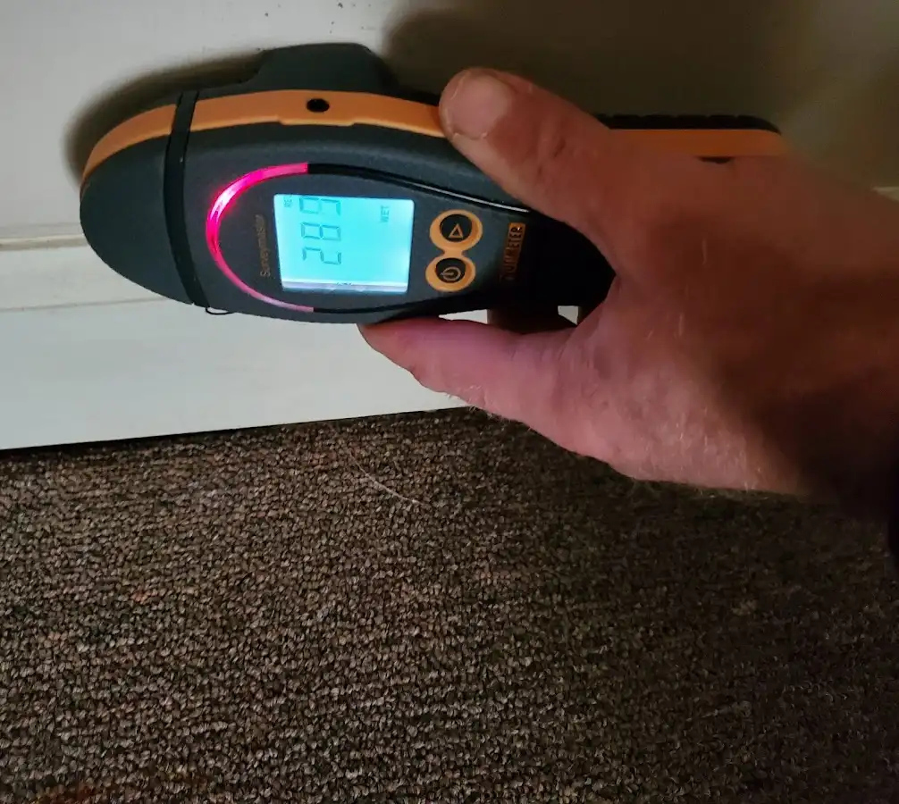 Moisture detection at baseboard during Sewage Cleanup & Sanitation in Gardiner